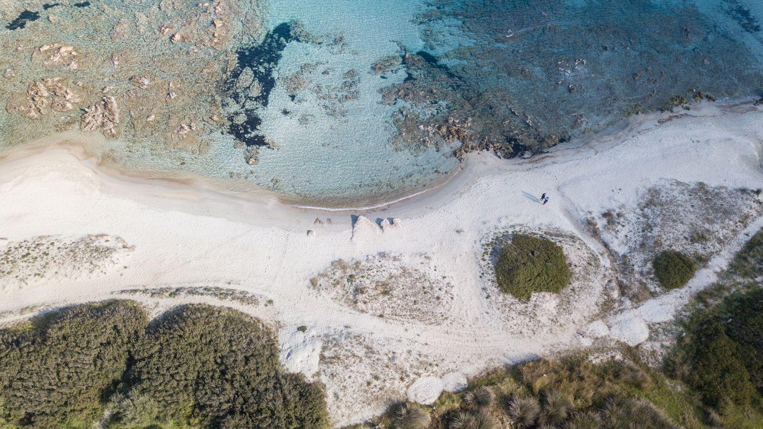 Trilo Caraibi