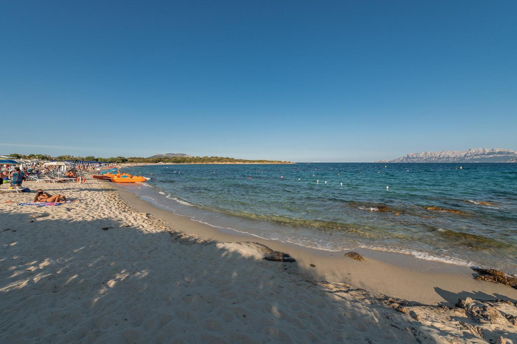 Trilo Caraibi
